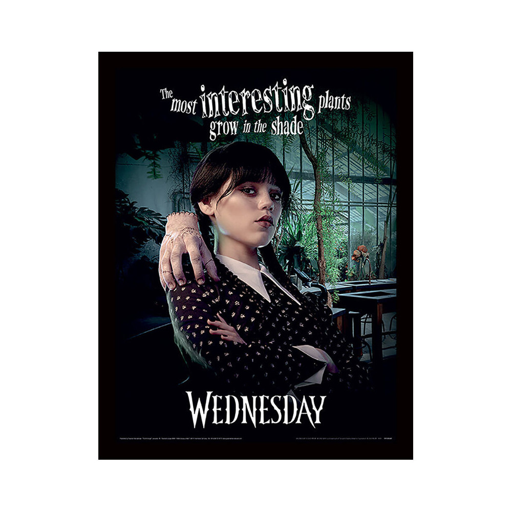 O poster emoldurado mais interessante Wednesday