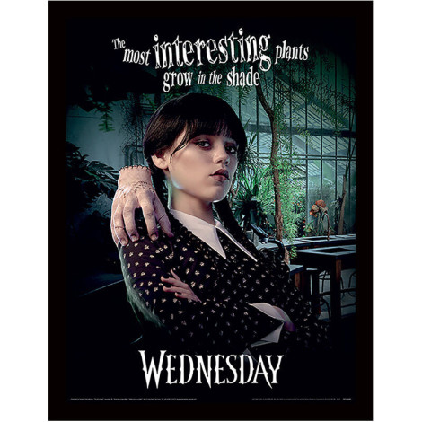 O poster emoldurado mais interessante Wednesday