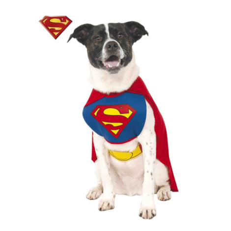 Superman Fato DC Comics para cães