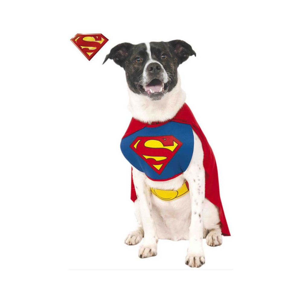 Superman Fato DC Comics para cães