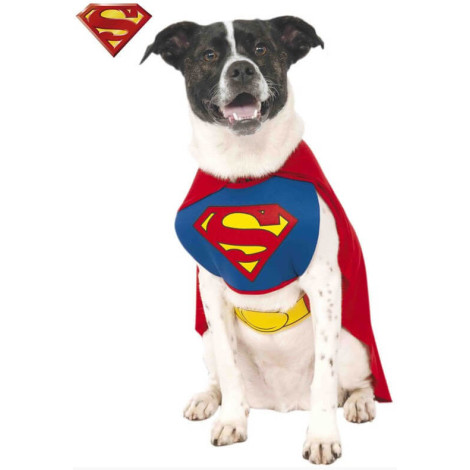 Superman Fato DC Comics para cães