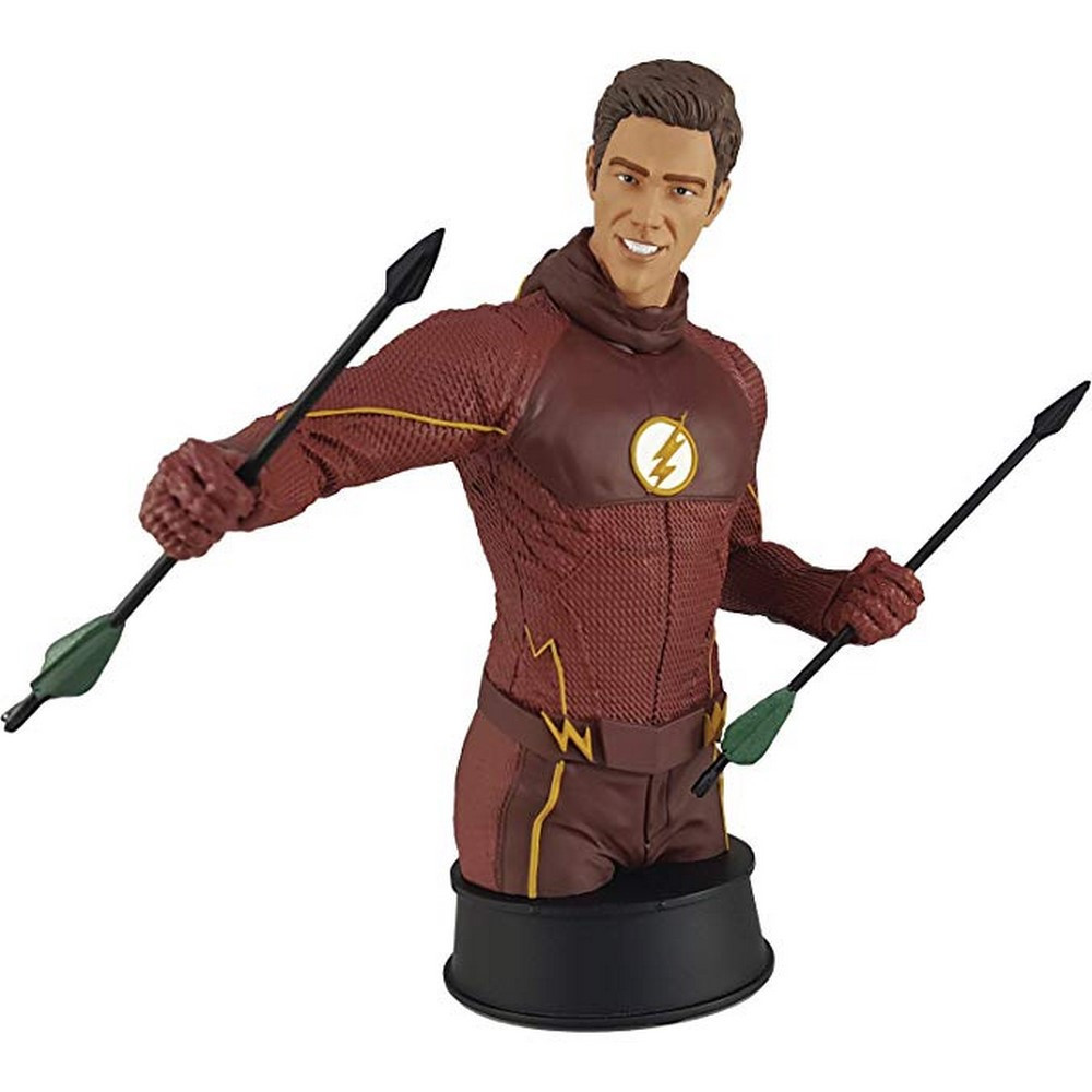 Dc Comics Flash Tv Training Bust Figure