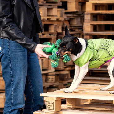 Corda dentária para cães em forma de Hulk