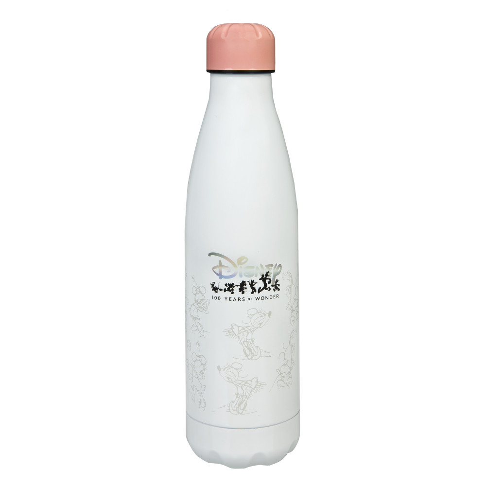 Garrafa de metal Disney Anniversary 500ml