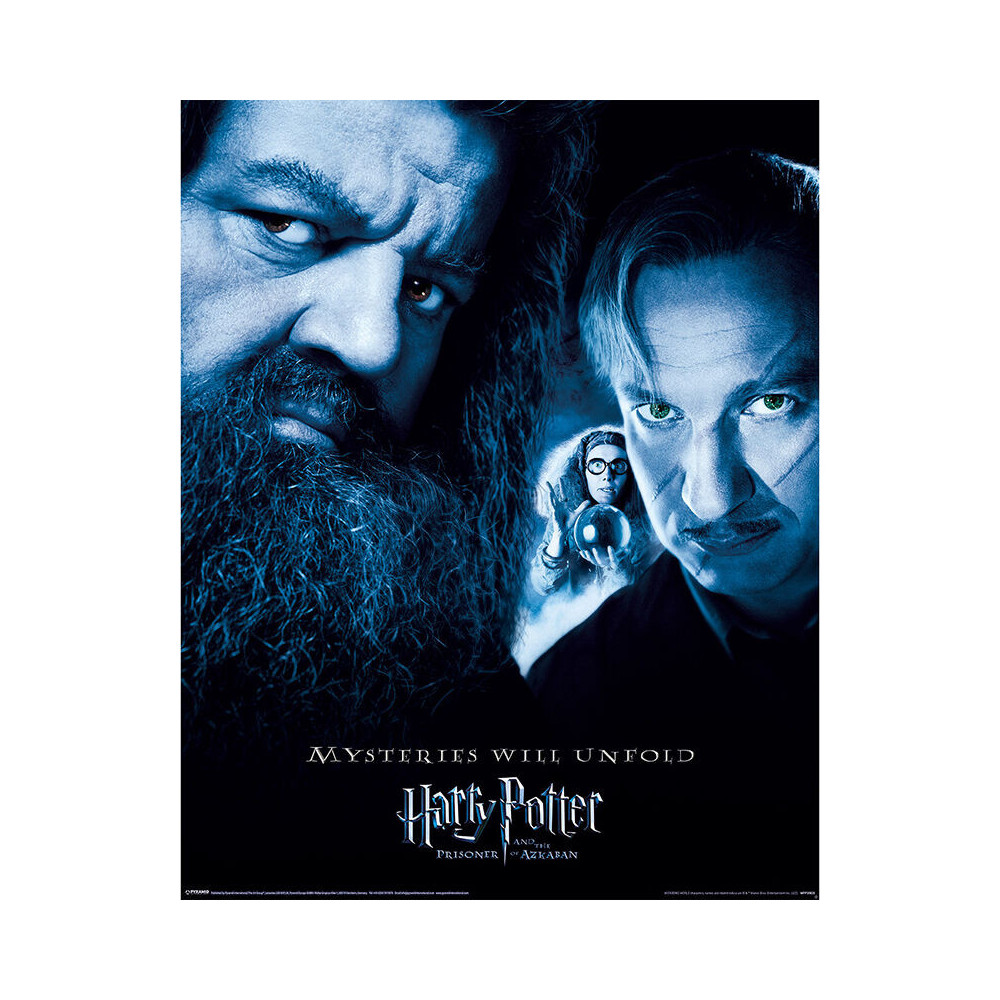 Prisioneiro de Azkaban Harry Potter Mini Poster