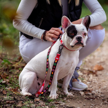 Trela para cão com carácter Marvel