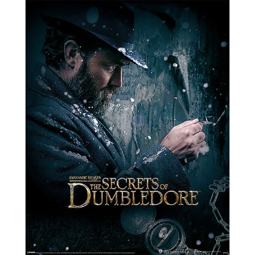 Poster Segredo de Dumbledore Animais Fantásticos