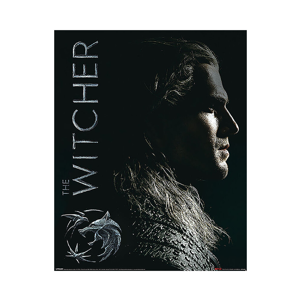 Mini Poster (Abraço das Sombras) The Witcher