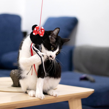 Varinha de gato Disney Minnie Mouse