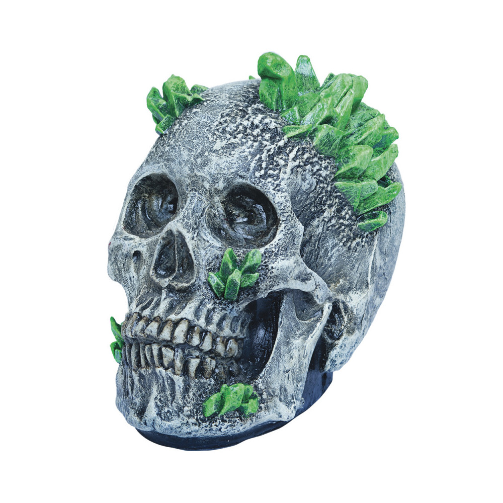 Kryptonite Skull Decoration Items