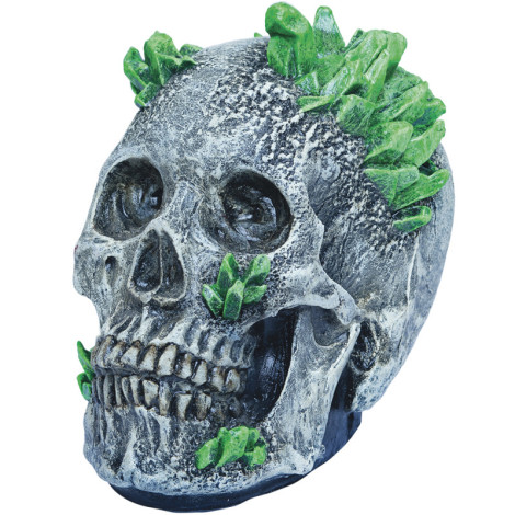 Kryptonite Skull Decoration Items