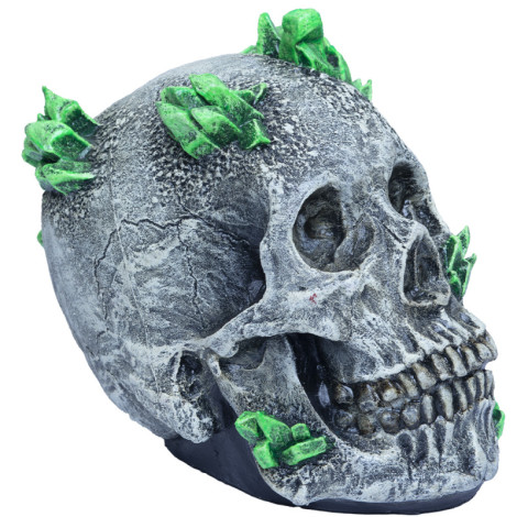 Kryptonite Skull Decoration Items