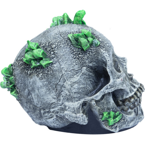 Kryptonite Skull Decoration Items