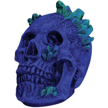 Kryptonite Skull Decoration Items