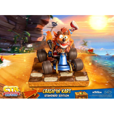 Crash Team Racing Nitro-Fueled Crash in Kart