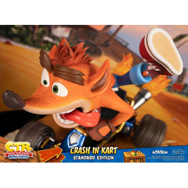 Crash Team Racing Nitro-Fueled Crash in Kart