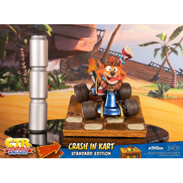 Crash Team Racing Nitro-Fueled Crash in Kart