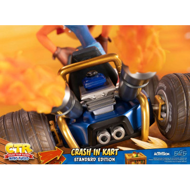 Crash Team Racing Nitro-Fueled Crash in Kart