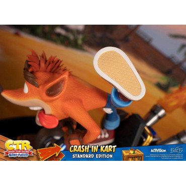 Crash Team Racing Nitro-Fueled Crash in Kart