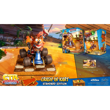 Crash Team Racing Nitro-Fueled Crash in Kart