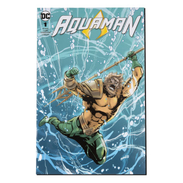 Figura e banda desenhada Aquaman (Aquaman) 18 Cm Dc