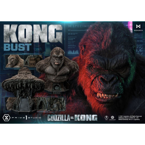 Kong 67 Cm Godzilla Vs Kong Busto