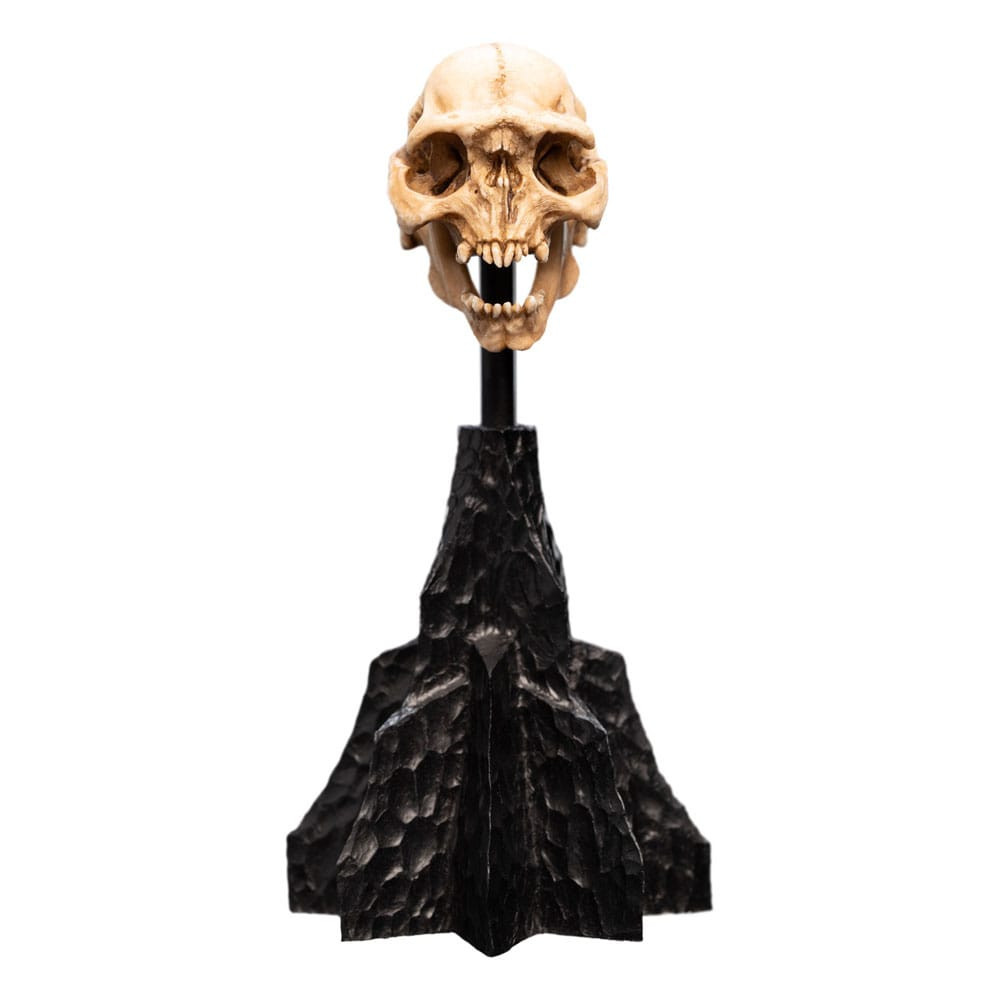 Figura Crânio de um Orc de Moria de O Senhor dos Anéis Figura Crânio de um Orc de Moria de O Senhor dos Anéis