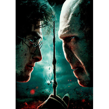 Bloco de notas Harry vs Voldemort Harry Potter 3D
