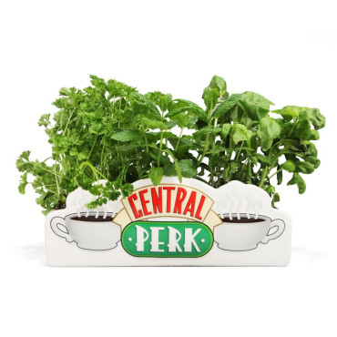 Plantador de mesa Friends Central Perk