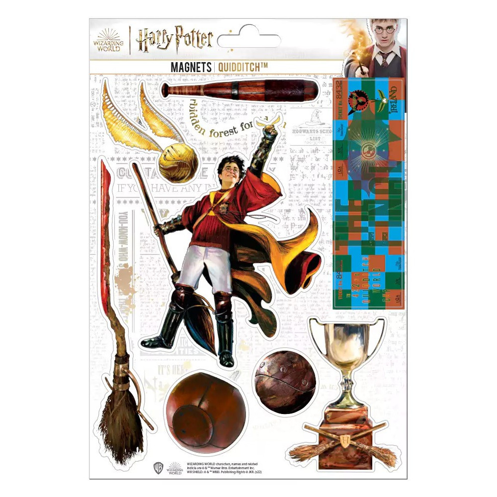 Conjunto de ímanes de Harry Potter Quidditch