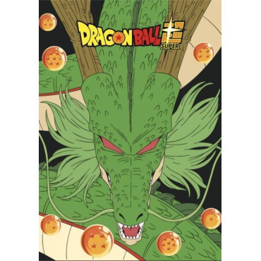 Manta polar Dragon Ball Shenron