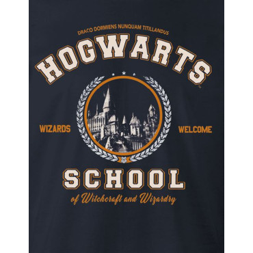 T-shirt Escola de Hogwarts Harry Potter