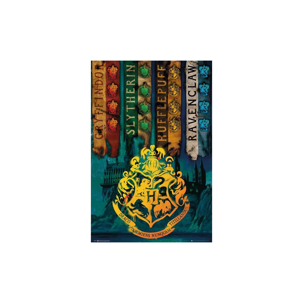 Cartaz das casas de Hogwarts de Harry Potter