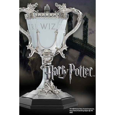 Taça Harry Potter 3 Wizards Tournament