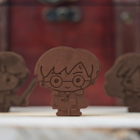 Molde de silicone Harry Potter Kawaii