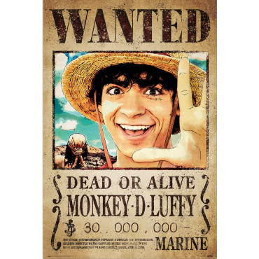 Cartaz One Piece Netflix Wanted Luffy