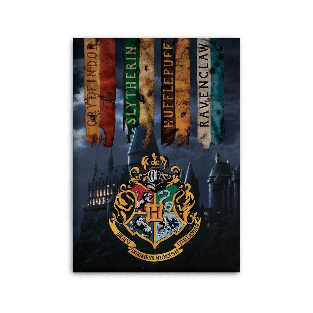 Manta Polar Hogwarts Harry Potter 100x140cm