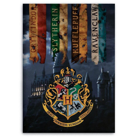 Manta Polar Hogwarts Harry Potter 100x140cm