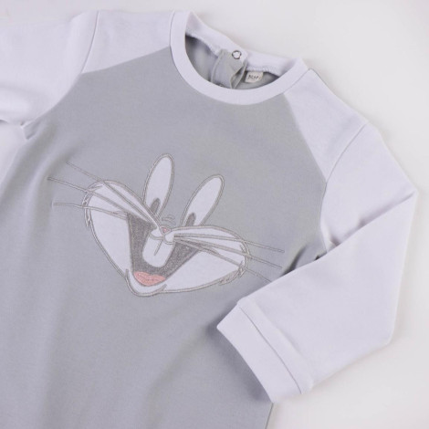 Bichinhos de estimação Bunny Looney Tunes