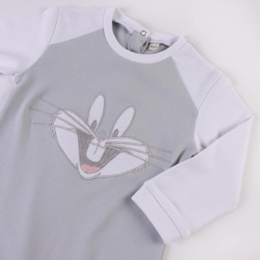 Bichinhos de estimação Bunny Looney Tunes