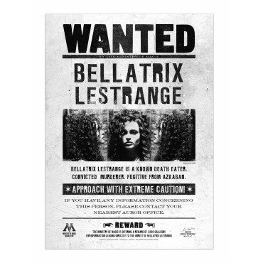 Cartaz Procura-se Bellatrix...