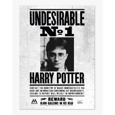 Harry Potter Poster Indesejável Nº1