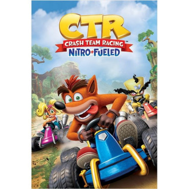 Poster Crash Bandicoot Racing