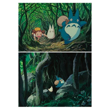 Livro Em Busca de Totoro: Notas de uma Caminhada na Floresta
