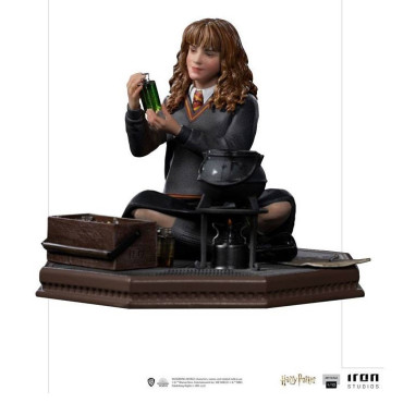 Hermione figura poção de...