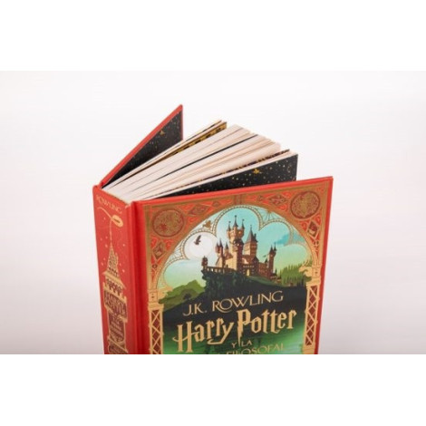 Livro Harry Potter e a Pedra Filosofal Ed. Minalima