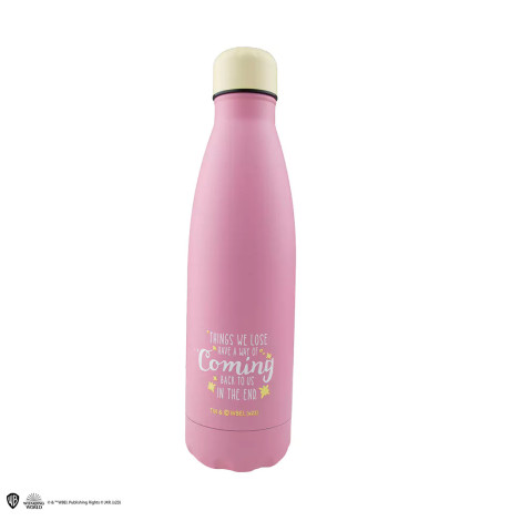 Garrafa Quaker Harry Potter 500ml em aço