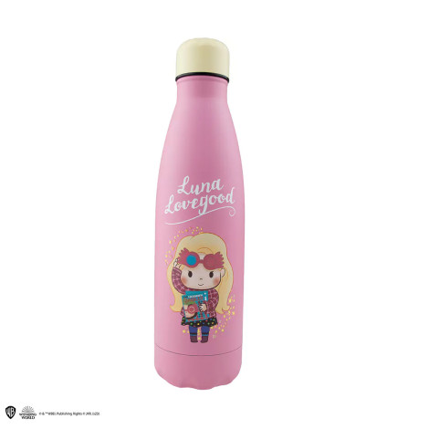 Garrafa Quaker Harry Potter 500ml em aço