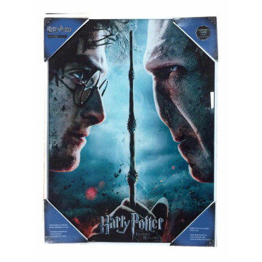 Cartaz de vidro Harry Potter vs Voldemort