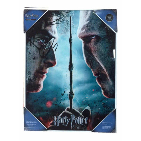 Cartaz de vidro Harry Potter vs Voldemort